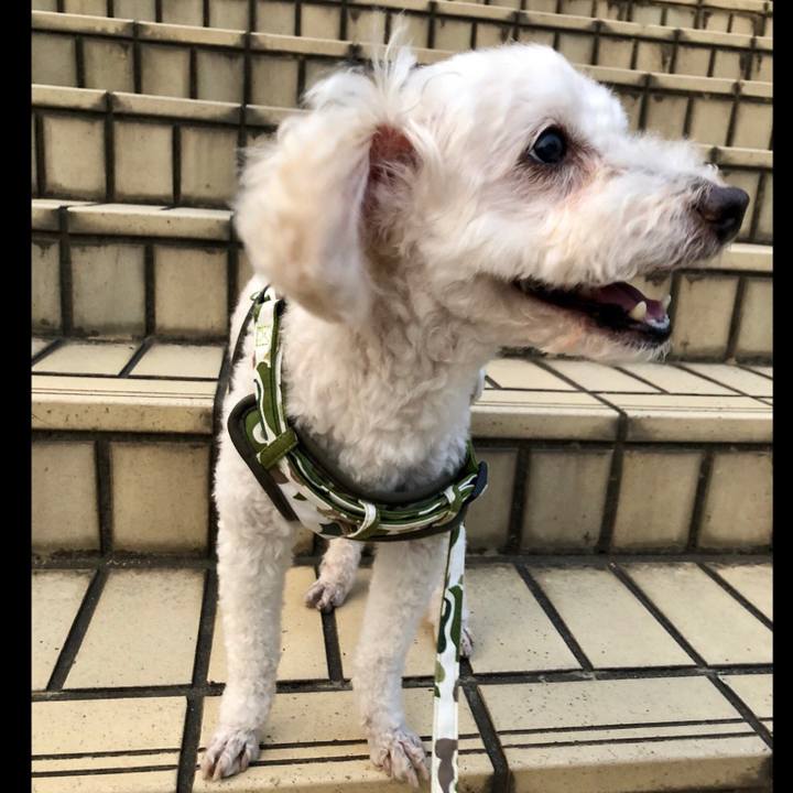 Aacacdb2 7ce1 4cc6 8978 1d47e3cf6f01 1531649170348