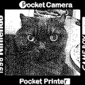 Aacadd21 5617 47f3 bc53 f4eb8b0404c9 1528854456273