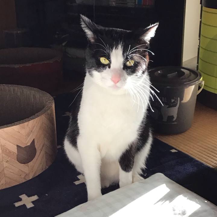 Aacade54 8d4f 4ccf a115 7ac2a8178686 1709451775632