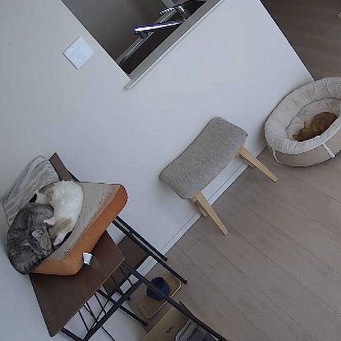 Aacb6005 3613 4069 90f9 79a7aeb3785a 1514345682419