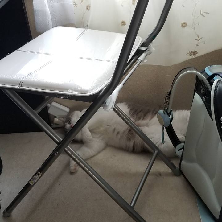 Aacb699c d798 4e58 aa82 b664787c106d 1564744389074