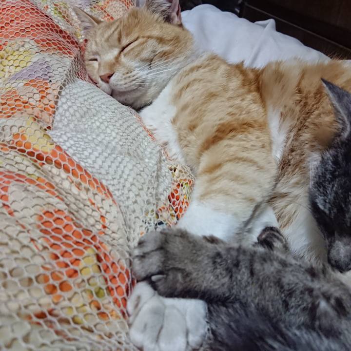 Aacb97ba 8bb8 4656 b7b6 e33c7c69f3ab 1587043453805