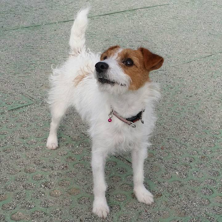 Aacb9e3b 2b0e 4e21 8257 409bc558ecb8 1512219050667