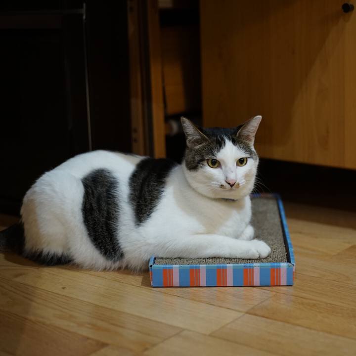 Aacbc161 246c 42f3 949d 228be9d8dc16 1531320116548