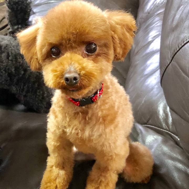 Aacbfe1e 5186 4312 a755 7ba9ccca92ff 1555219778364