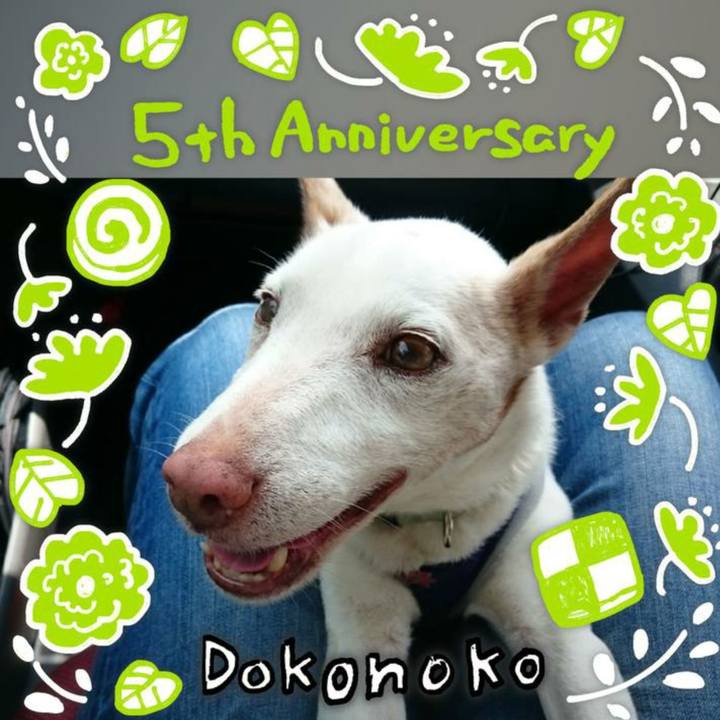 Aacc0d3e cee2 4451 b9ae c6dfba9509ad 1623866565614