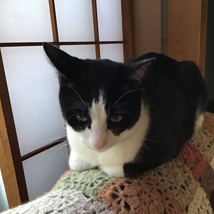 Aacc15e8 b0e9 423f 8fa3 ffc83b741979 1697786724121