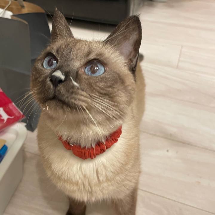 Aacc9dc5 3428 4214 8040 7b499f2f4ad2 1765714081491