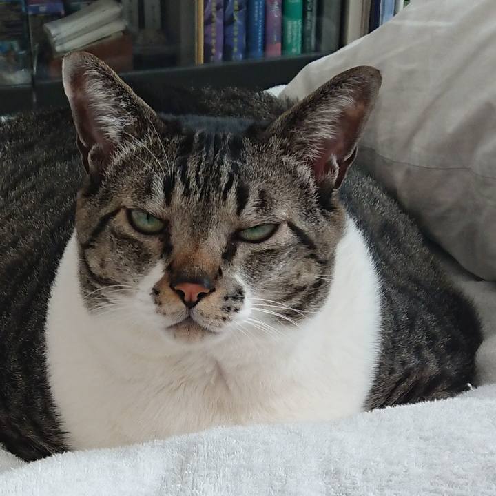 Aacce159 23d7 4c97 be2c 0043b9bfbae9 1550880317894