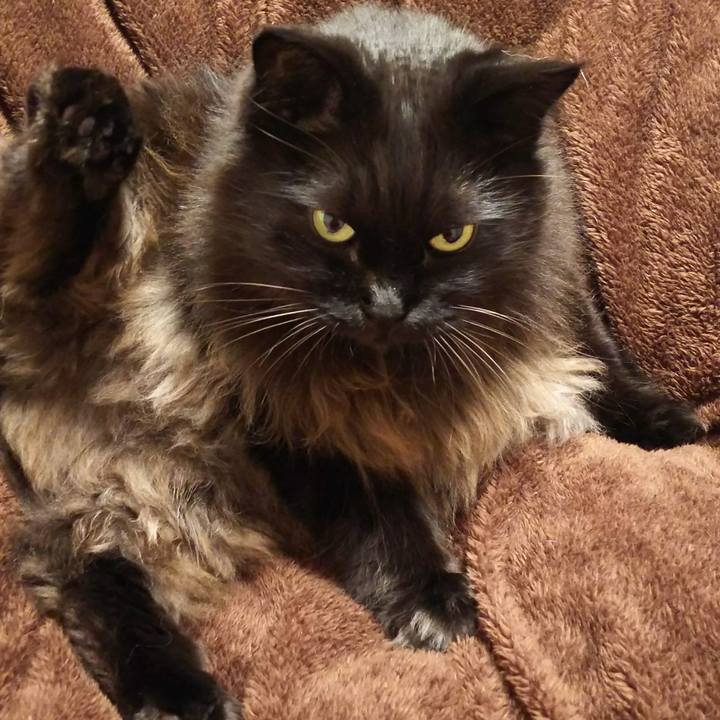 Aaccef2b 5b8f 4486 a363 43009bdb812e 1513694449551