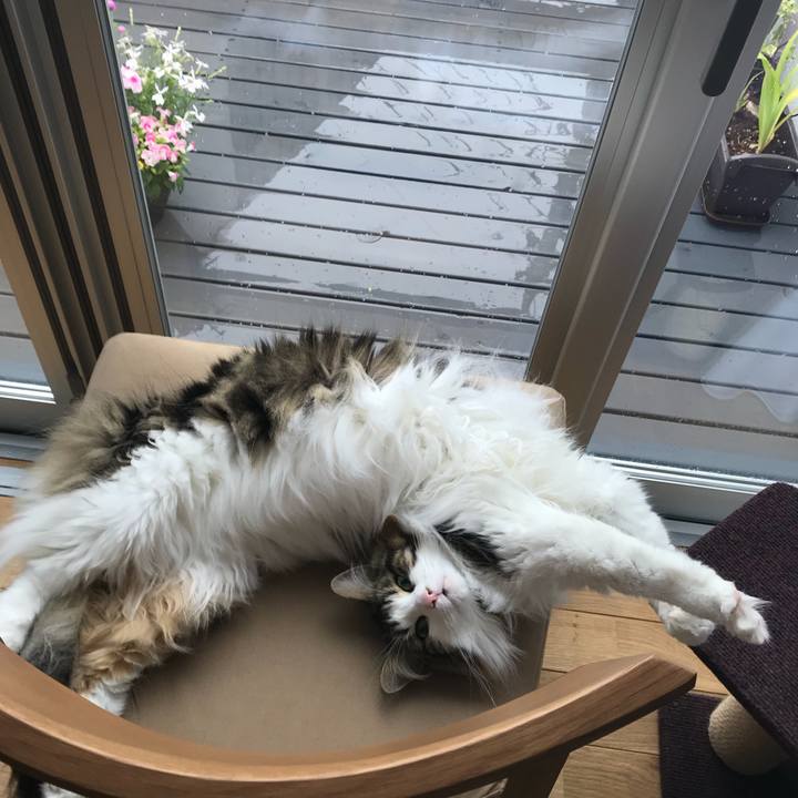 Aacd1dca 8a93 4c51 90bd 635ebb3e09ce 1528259624647