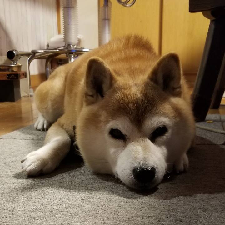 Aacd269b 39b0 464a b26a 22240921410f 1703662476477