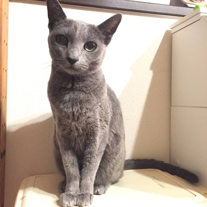 Aacd27f4 7ae2 4e3f 981a 04338114243e 1513255958463