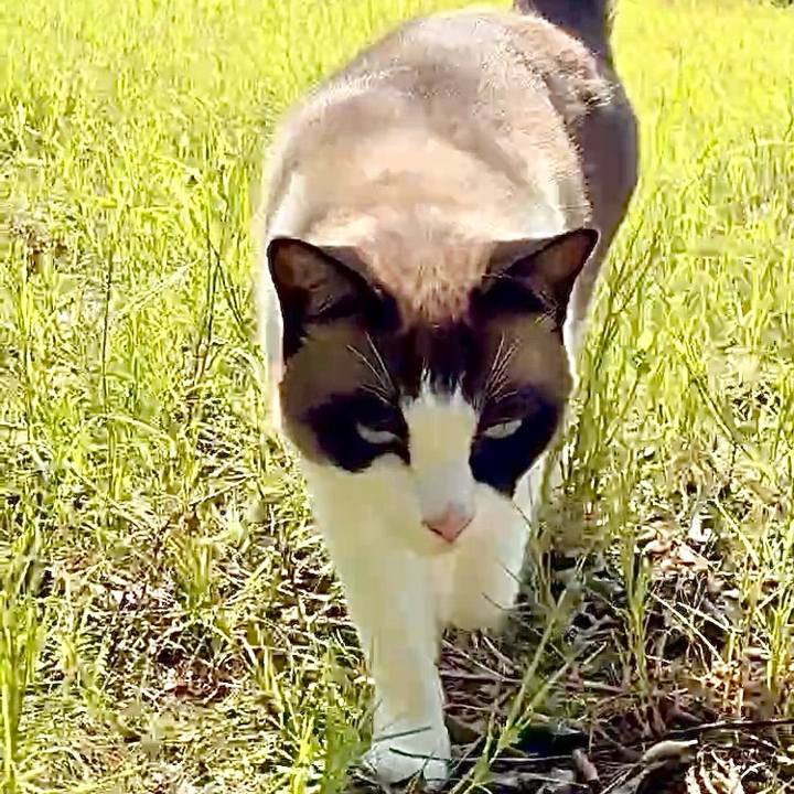 Aacd3997 aab6 459f a332 512fdccb5bd9 1752304990700