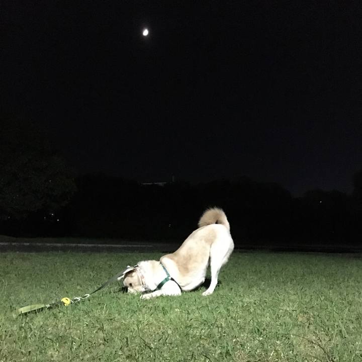 Aacd4260 9766 4972 acfa 72bbb6921625 1509015737828