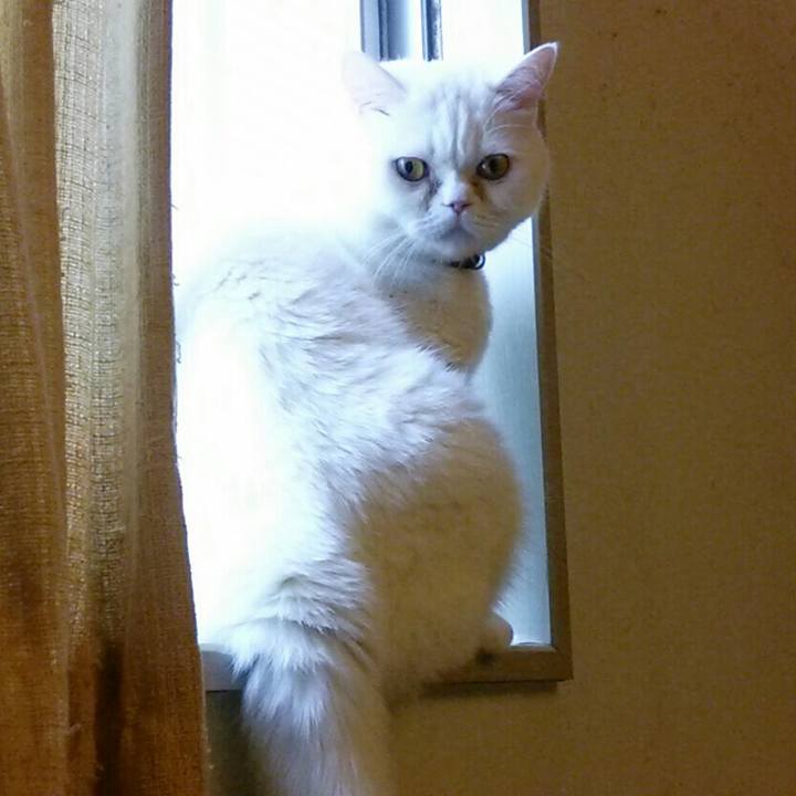 Aacd4cc9 2229 4d48 8f43 85f70db17155 1528676585619