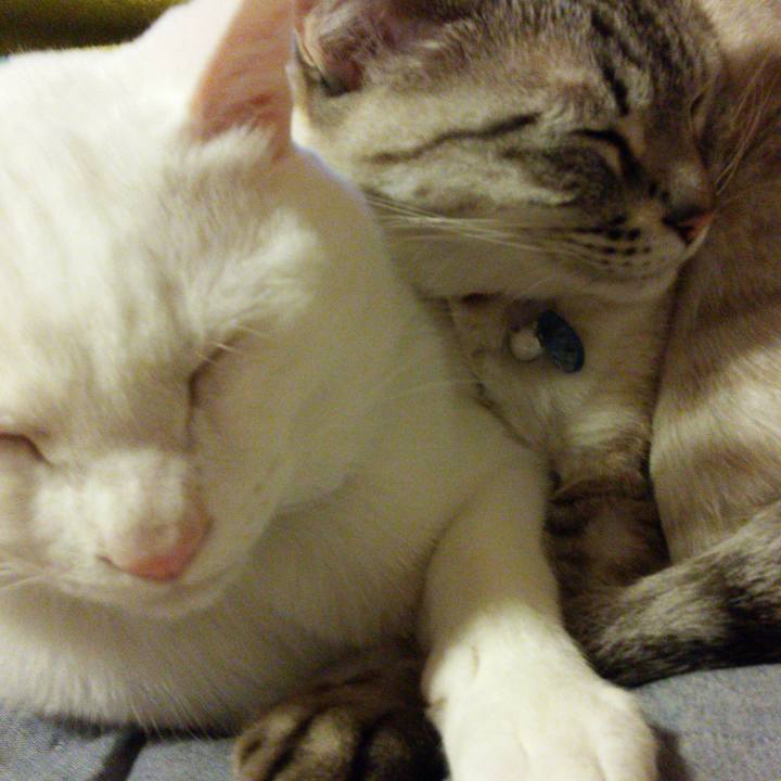 Aacd7d56 f5ce 4890 922b 4b2343b21879 1521546647095