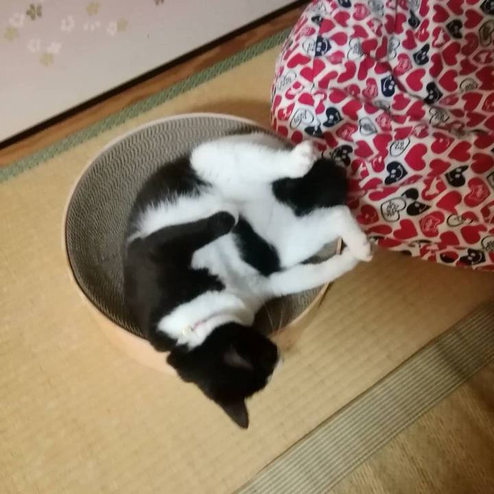 Aacd9e22 279b 427c aec7 b282af0b38e2 1597238487470