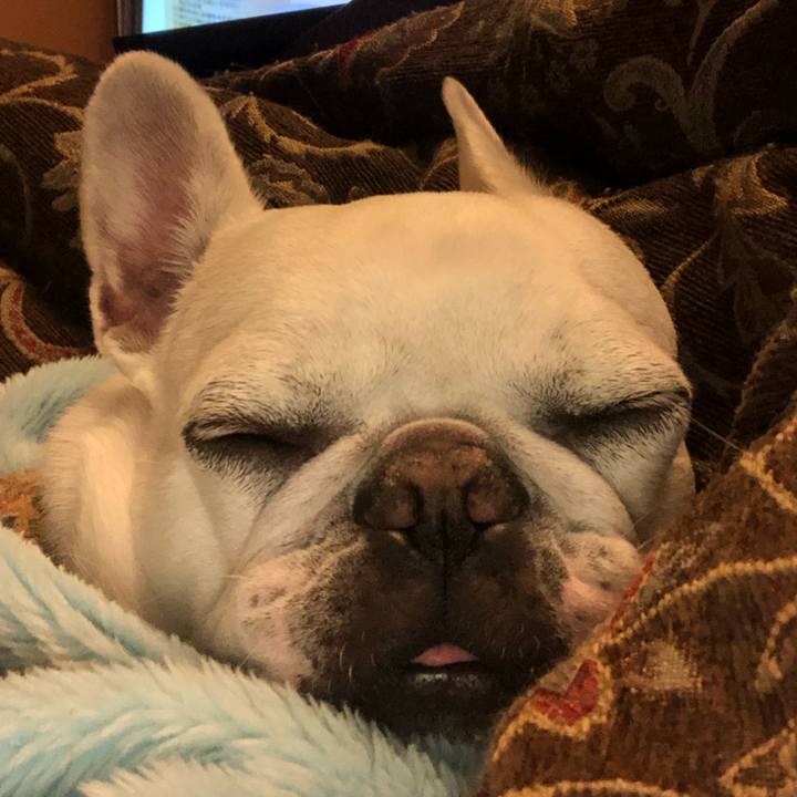 Aacdb381 e073 4c82 8c03 f2151a16fb95 1576999240900