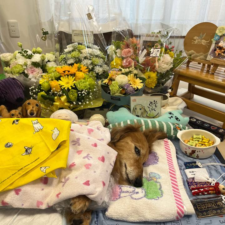 Aacdbbad 2b0c 4809 b11f 3d050bed4cf5 1685886940056