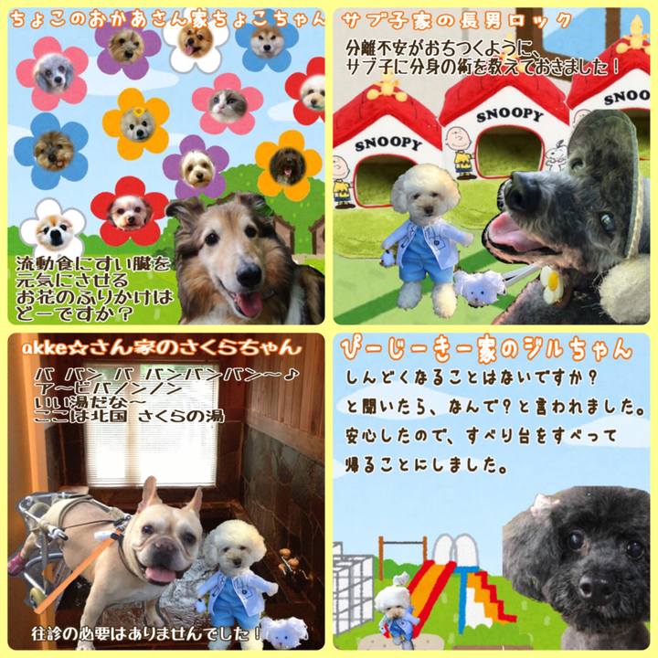 Aacdc278 f443 48a6 8c8b d319d4f7280c 1532592576744