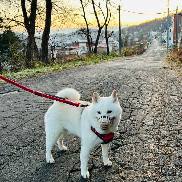 Aacdff56 ee8f 4631 9cb1 139bcd5def7a 1764195930488