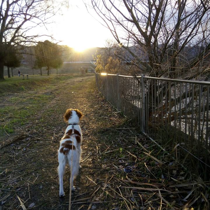 Aace0648 5b97 4674 8431 30a55abf3c7c 1515630845611