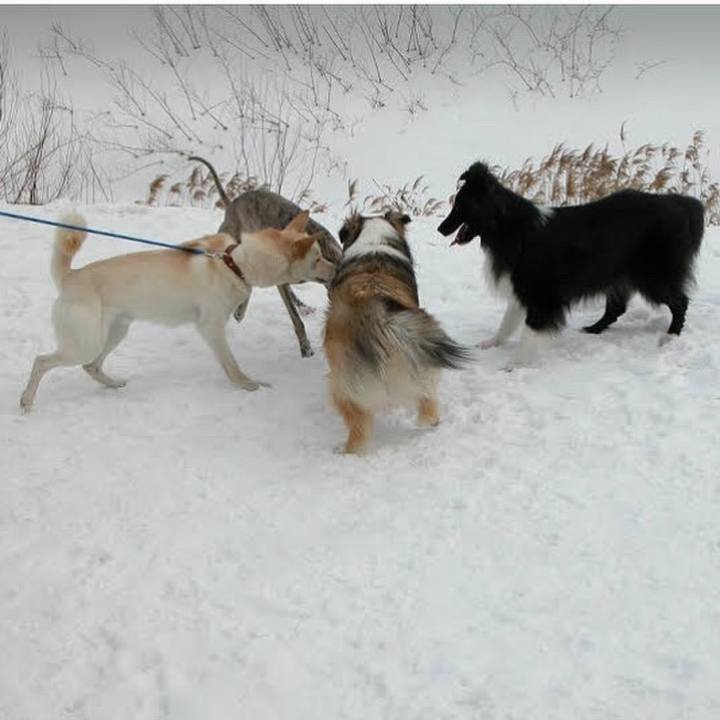 Aace38d1 0c0a 49b8 94e8 617ab038c050 1626685670628