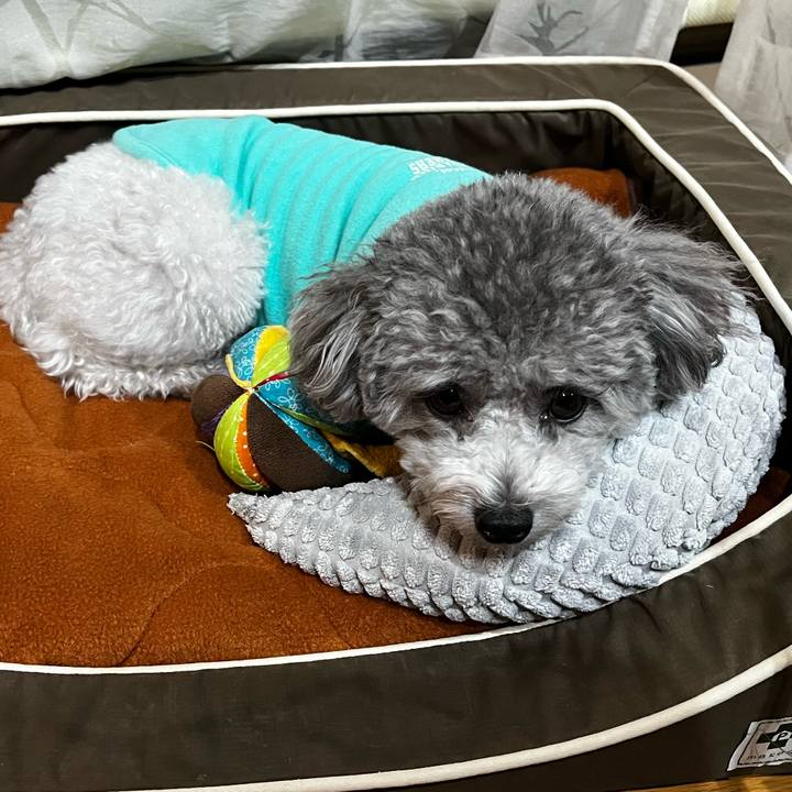 Aace79a9 6d03 4700 b94f da98a8b3dc19 1763456054604