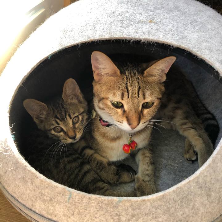 Aace83fb 756e 41f0 a47e bdbf93be81b1 1601960844958