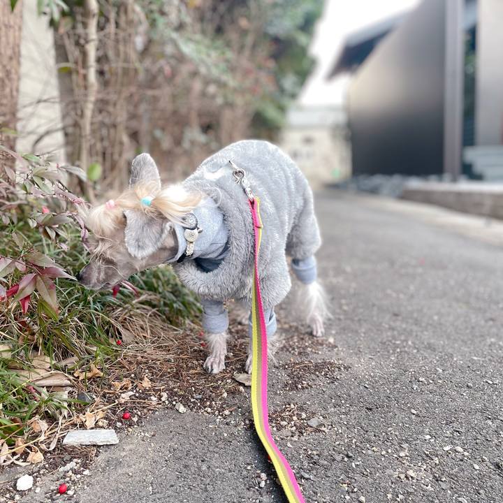 Aacecba1 ab18 4c80 9e14 6e4a1a48ae66 1768463078504