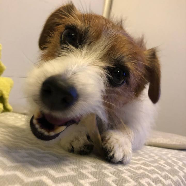 Aacf0536 16c5 4916 a573 16bcb9ac49ae 1627640045828