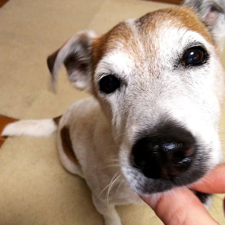 Aacf24a3 16e3 4941 a0c8 0598002fa07d 1595366658602