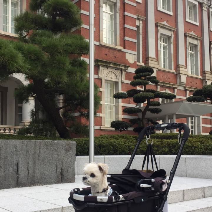 Aacf9a49 0918 4ed2 8c7b 755dcf6473a7 1510397001430