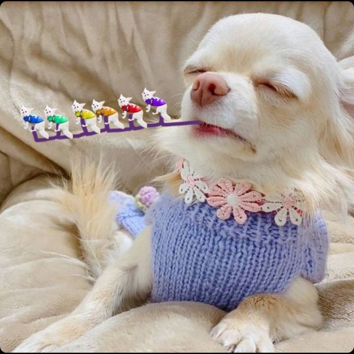 Aacfb743 400d 48c8 9f3f fdc942159e5b 1614477804210