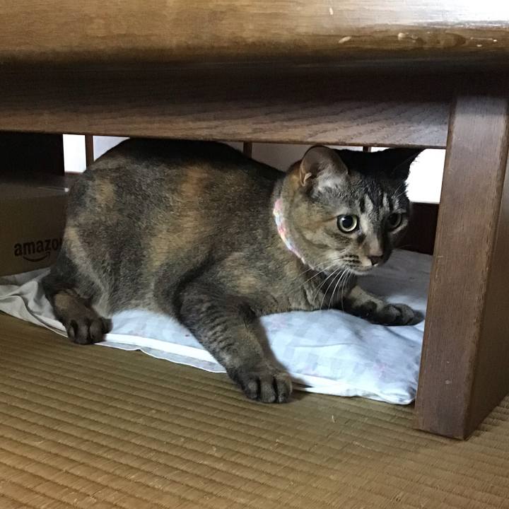 Aad0219e 39d9 4fe9 86b5 ba1cf8c76b9a 1627702753878