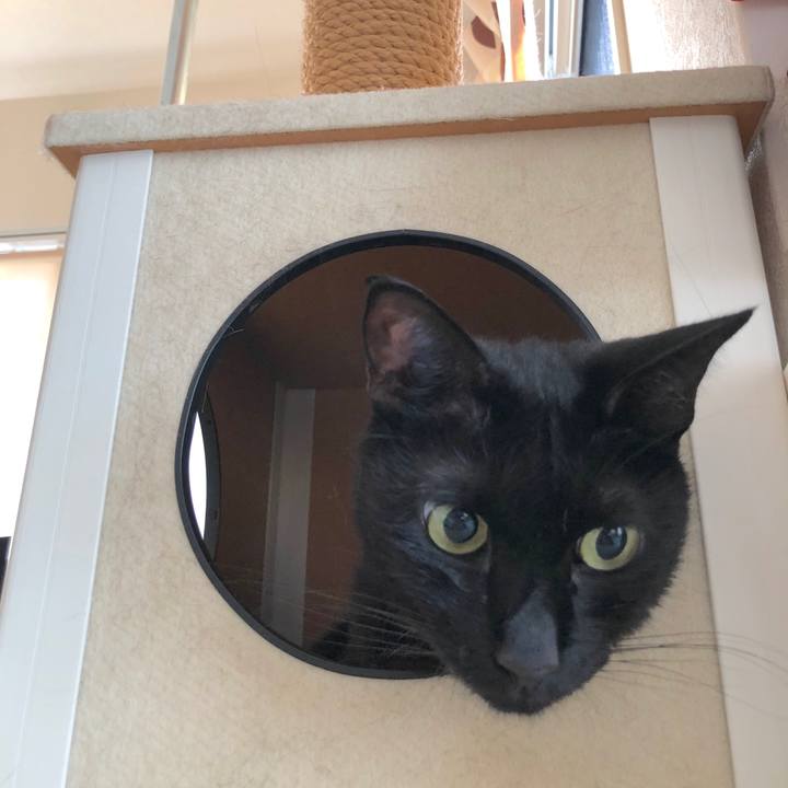 Aad0408d d997 4f19 8aec 33296c1f4e2e 1534163905704