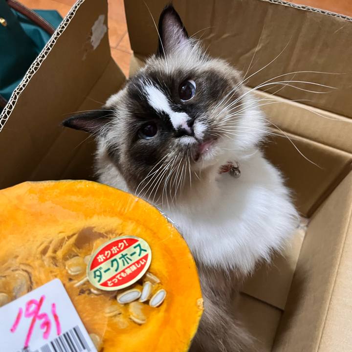 Aad068d3 cd5f 4ca6 aaaa fdfe76cad5a2 1667250953736