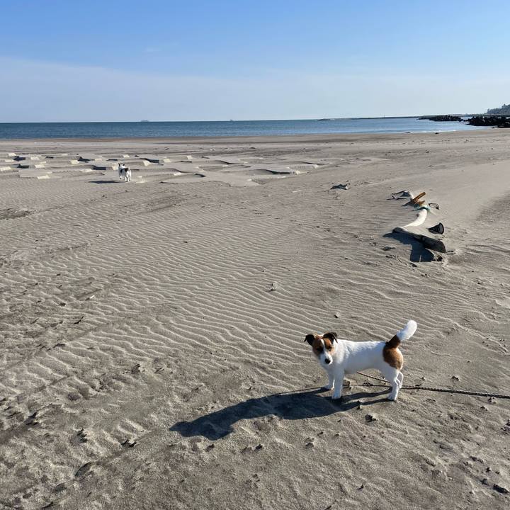 Aad0835b 6c9e 4806 a9d1 20530e214f09 1681085839104