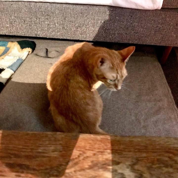 Aad08535 e8b4 4964 a7ec 1cc9fa68c7e3 1549948213142