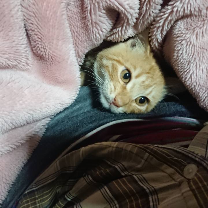 Aad08d4c 7d51 4174 a5c5 80ee47655a54 1636921681842