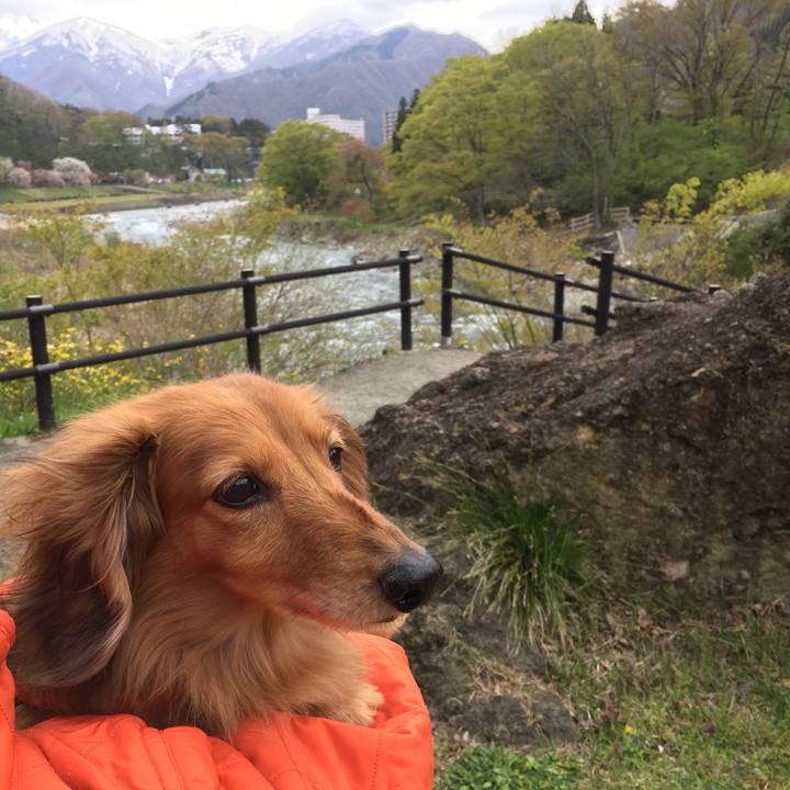 Aad09481 f8ba 473d a85e f291181662f4 1556543518141