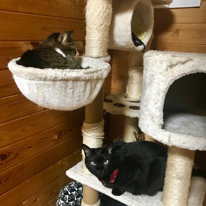 Aad094eb 1f20 4fff 969c 092b0874107f 1543998877801