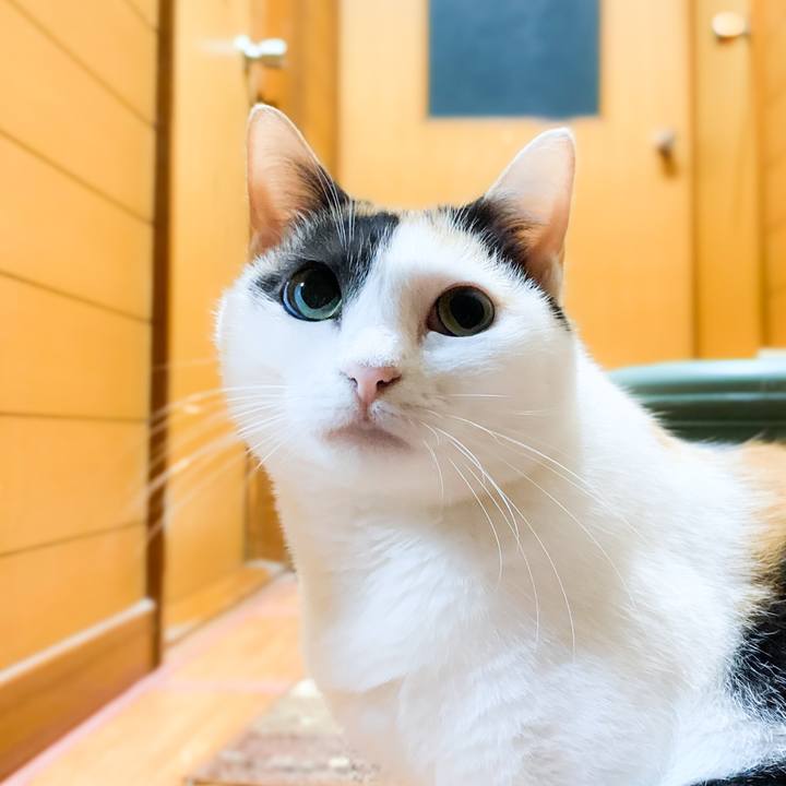 Aad09733 1182 4a27 ba9e f494bc60d05c 1574751981215