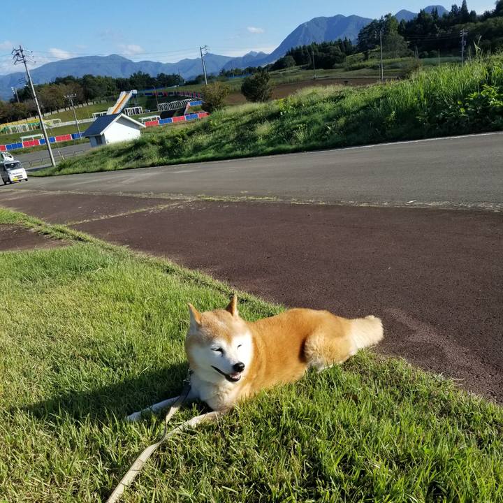 Aad09b5b 5000 485f 8693 cf3992e76e1e 1696228086409