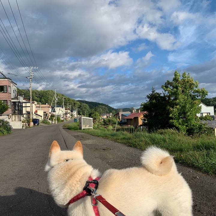 Aad0ac6a 60e2 4629 aeb8 c9cbb78d5fd7 1565907599895