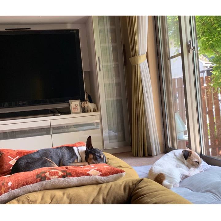 Aad0b148 0f51 4785 9b42 f987bbfd84d8 1589431578309