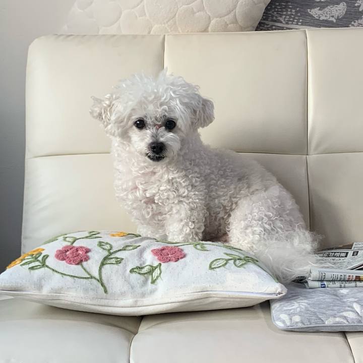 Aad0be77 e2b0 4e4e bc62 218b31df1b30 1698325306077