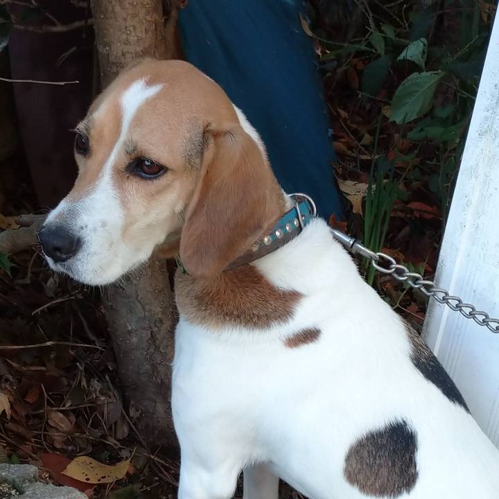 Aad0c0d1 a2db 47e3 8acc a776203393ed 1605239856775