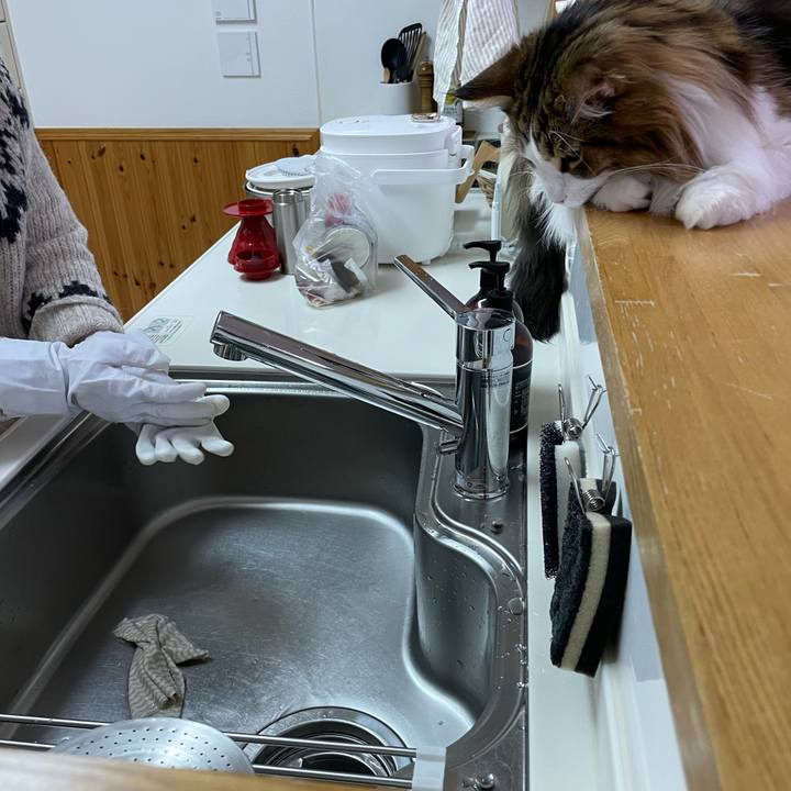 Aad0f7c0 0ae5 4258 b77f 02c341933655 1673178175033